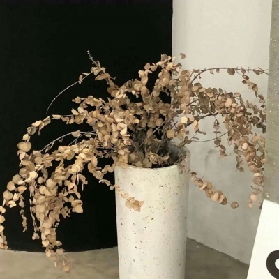 兽设性格设定技巧Furry群